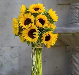 Girasoles Sencillos