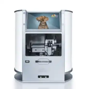 Placa Id My Family Círculo Pequeño De Latón Cromado Dorado