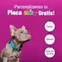 Placa Id My Family Círculo Pequeño De Latón Cromado Dorado