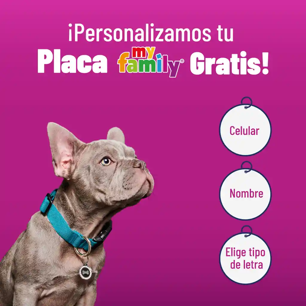 Placa Id My Family Círculo Pequeño De Latón Cromado Dorado