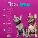 Placa Id My Family Círculo Pequeño De Latón Cromado Dorado