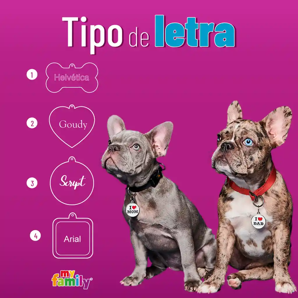 Placa Id My Family Círculo Pequeño De Latón Cromado Dorado