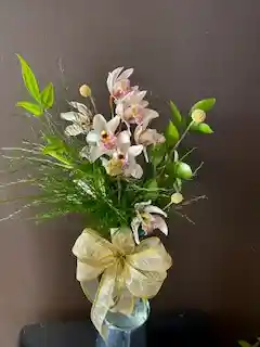 Orquideas Para Regalo