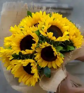 6 Girasoles Bouquet