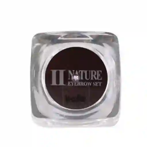 Pigmento Pcd Ii Nature M Coffe