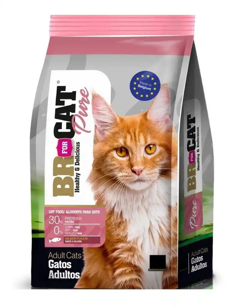 Br For Cat Adulto Salmon 1kg