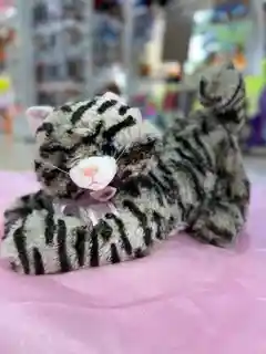 Gato De Peluche