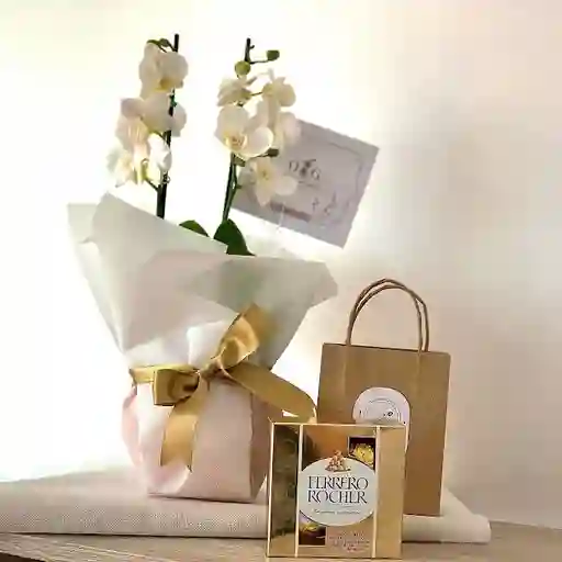 Orquideas Medianas Blancas + Ferreros X 4
