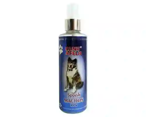 Perfume Splash Canis Y Felis Machos 200ml