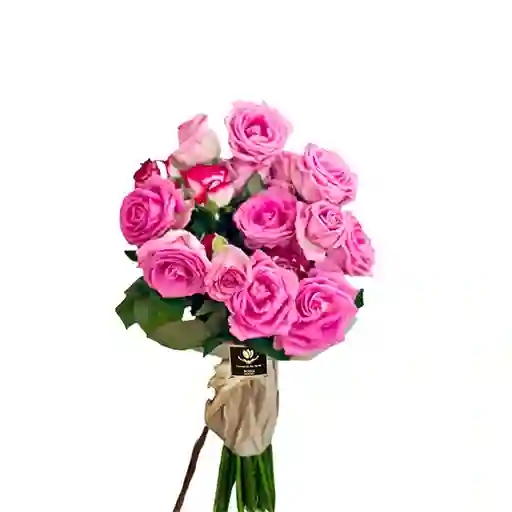 Bouquet Rosas Fucsia X 12 Unidades