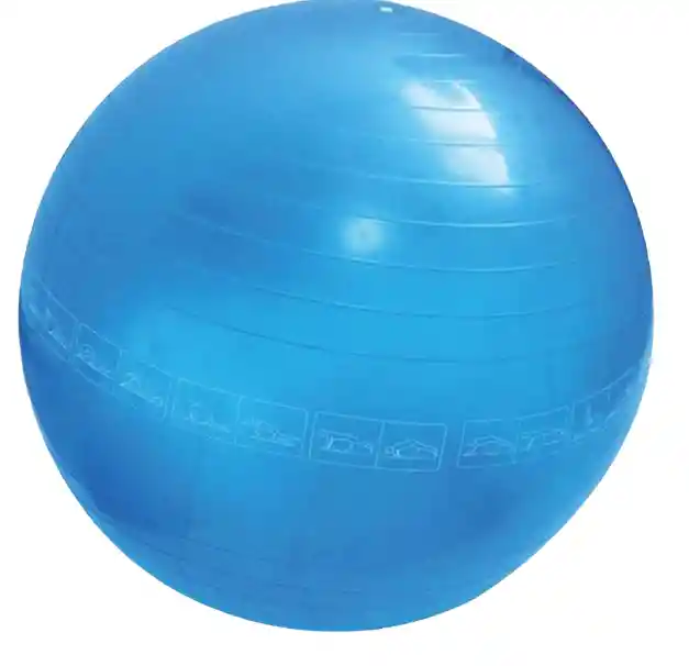 Sportfitness Bola De Gimnasia55 Cms