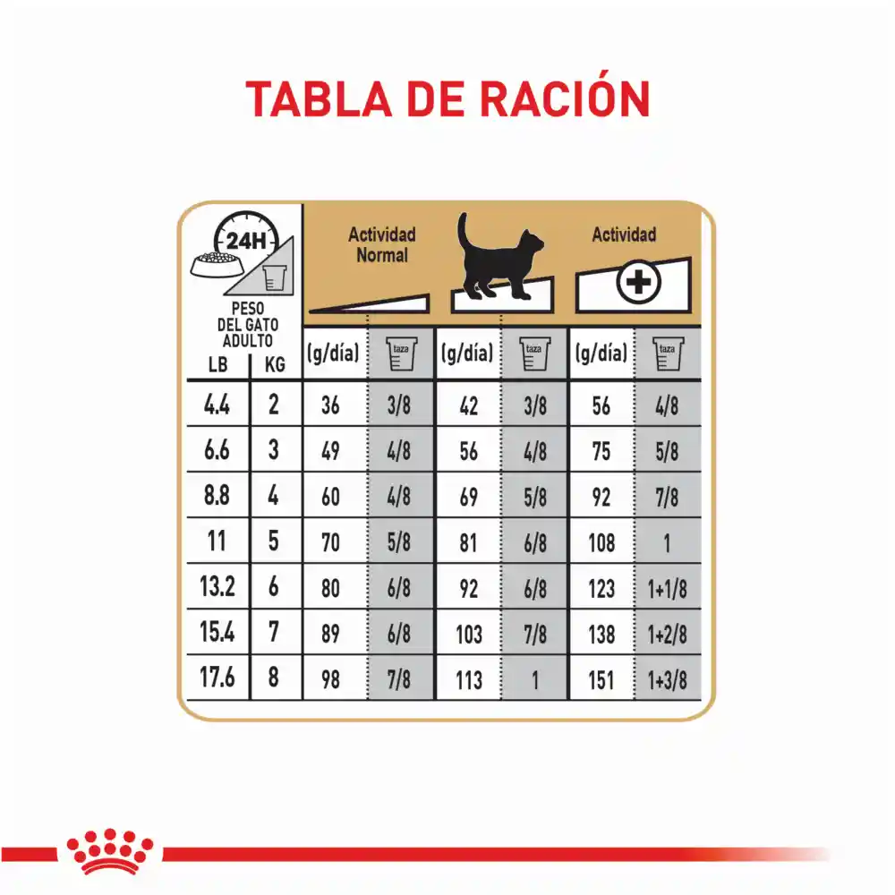 Royal Canin Alimento para Gato Sphynx