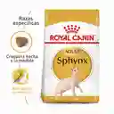 Royal Canin Alimento para Gato Sphynx