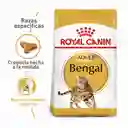 Royal Canin Alimento para Gato Bengal Bolsa