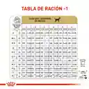 Royal Canin Alimento Para Perro Dalmata Puppy 12 Kg