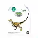 Kocodio Flash Cards Dinosaurios Cartas Didácticas Para Niños