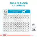 Royal Canin Alimento Para Perro X Small Puppy 1.5 Kg