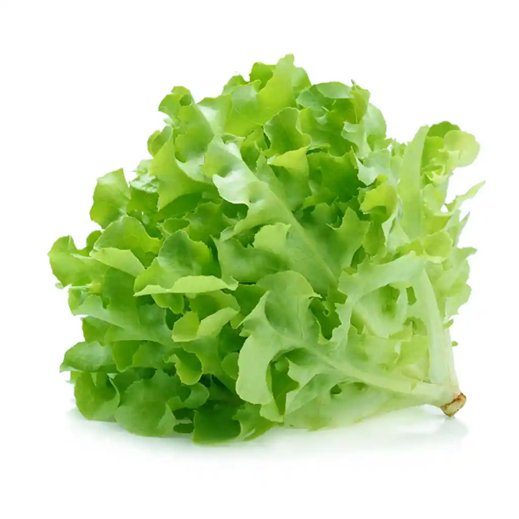 Lechuga Crespa Paquete