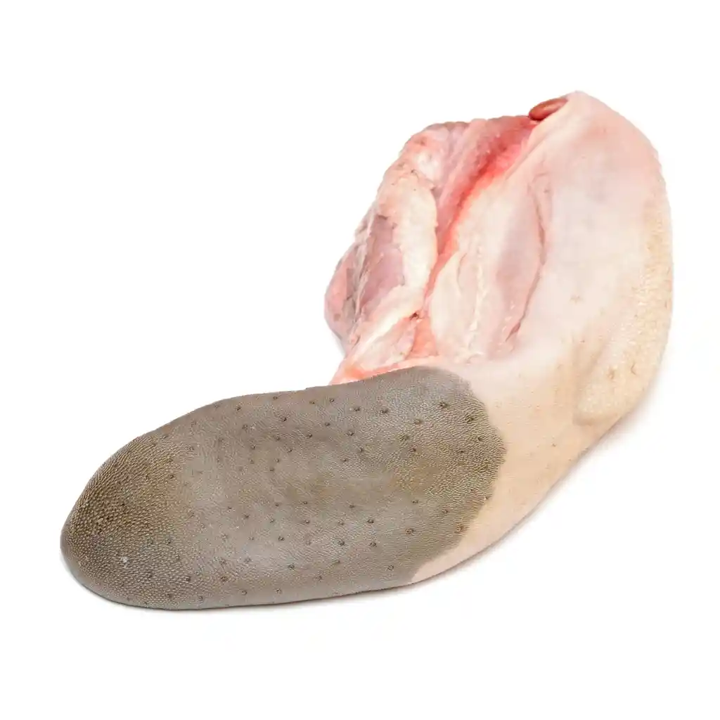 Lengua De Res