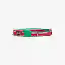 Zee.cat Lola Cat Collar Gato