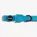 Zee.cat Ultimate Blue Cat Collar Gato