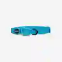 Zee.cat Ultimate Blue Cat Collar Gato