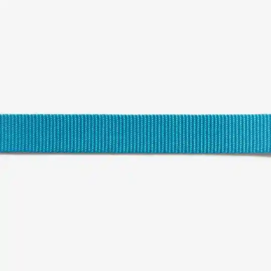 Zee.cat Ultimate Blue Cat Collar Gato