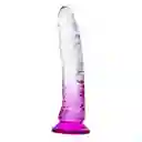 Dildo Con Chupa Traslucido Colores Winnie