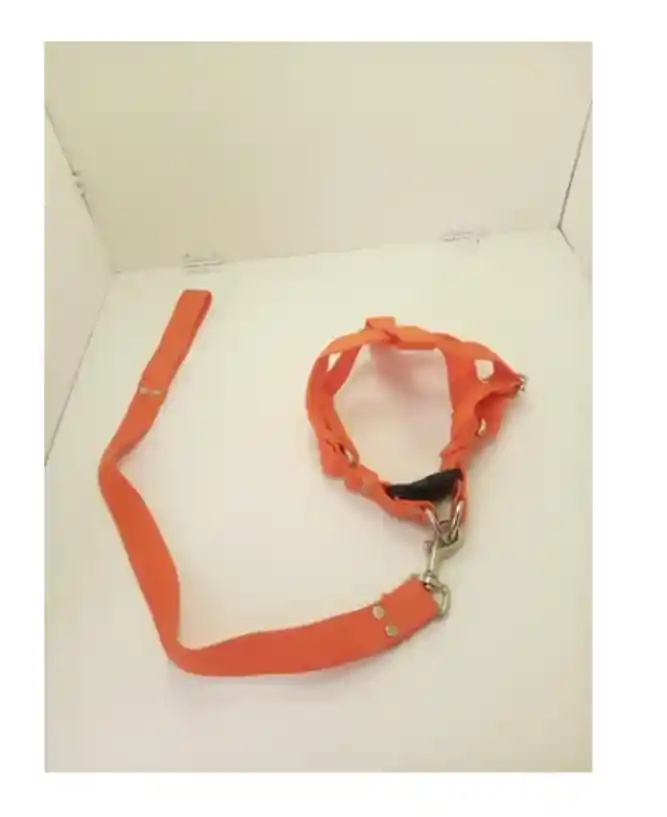 Arnés Pechera Paracaídas Collar Perro Naranja Talla L,xl
