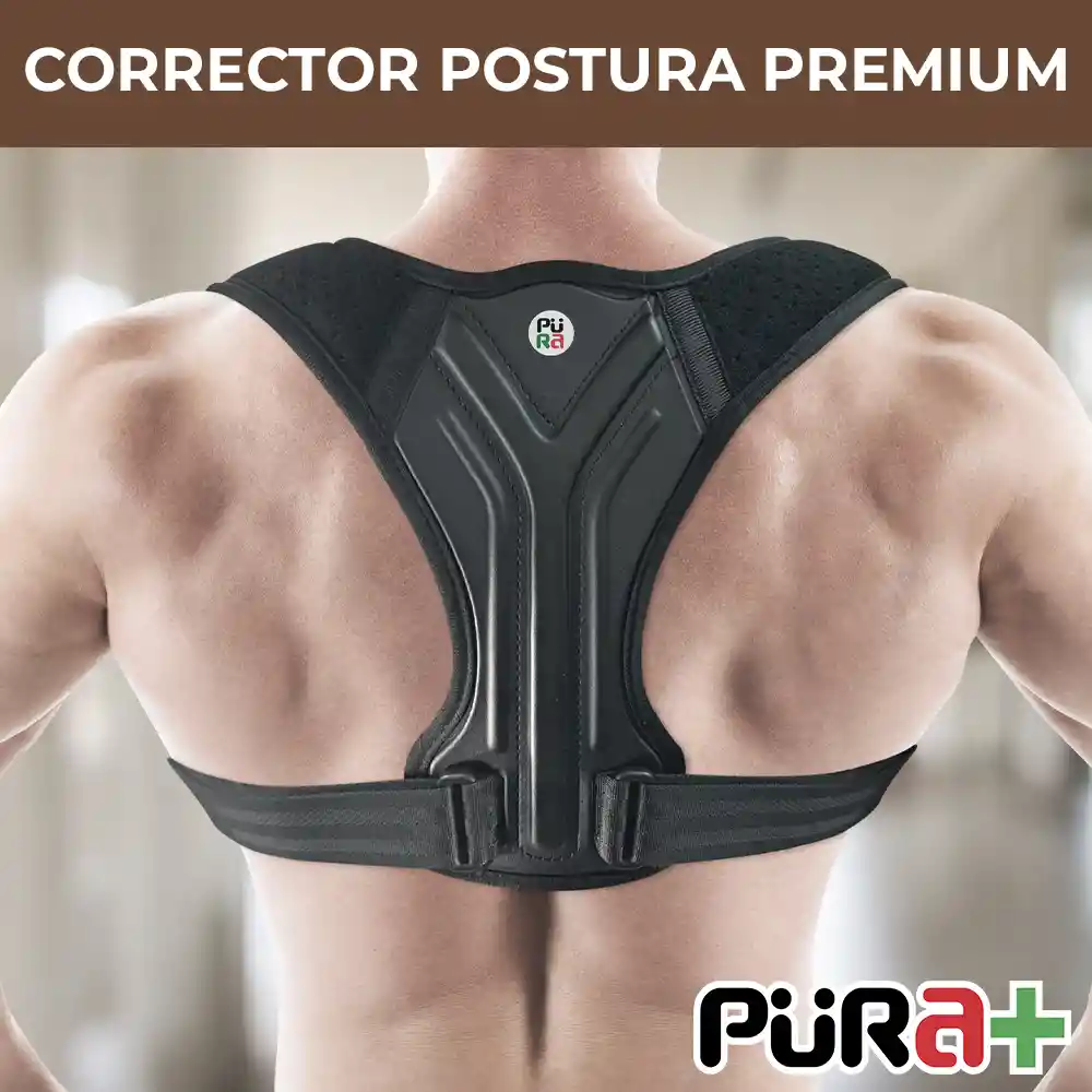 Corrector Postura Ortopèdico Deluxe Ajustable Talla L-xl