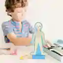 Juguetes Niño Juego Cuerpo Humano Magnético Juego Didáctico