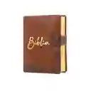 La Sagrada Biblia De América Nueva M4