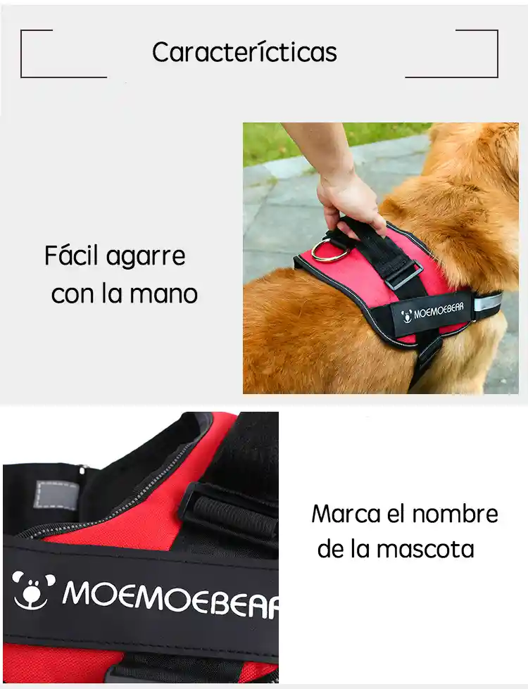 Arnes Para Perros Antitirones Talla M Pechera 10-20kg Azul