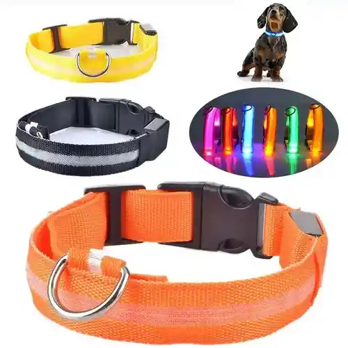 Collar Para Perros Y Gatos Con Luz Led En Tela Con Bateria S Colores Surtidos