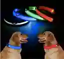 Collar Para Perros Y Gatos Con Luz Led En Tela Con Bateria S Colores Surtidos