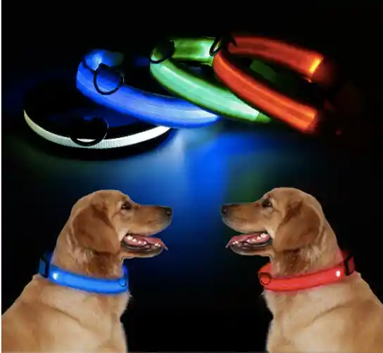 Collar Para Perros Y Gatos Con Luz Led En Tela Con Bateria S Colores Surtidos