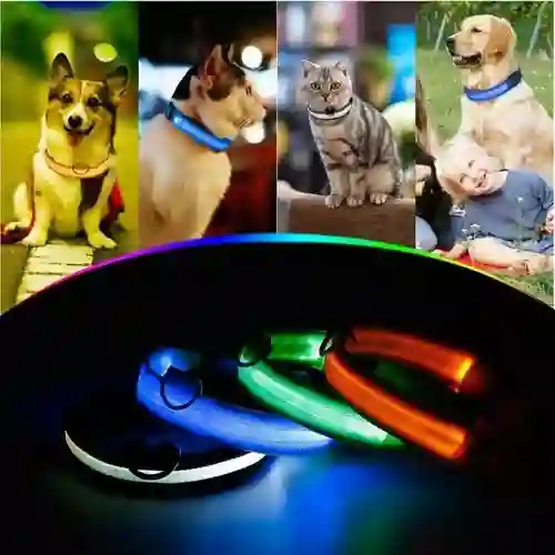 Collar Para Perros Y Gatos Con Luz Led En Tela Con Bateria S Colores Surtidos