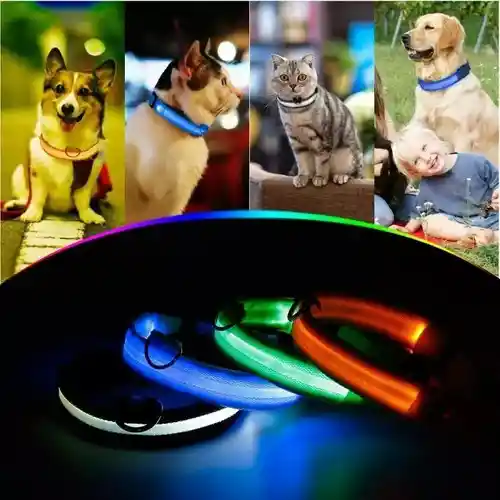 Collar Para Perros Y Gatos Con Luz Led En Tela Con Bateria S Colores Surtidos