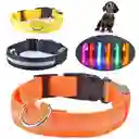 Collar Para Perros Y Gatos Con Luz Led En Tela Con Bateria Xl Colores Surtidos