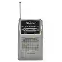 Radio Parlante Portatil Portable De Pilas Con Am Fm