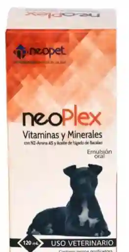 Neoplex Vitaminas Y Minerales X 120ml