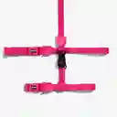 Zee.cat Pink Led Harness & Leash Talla Única