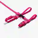 Zee.cat Pink Led Harness & Leash Talla Única