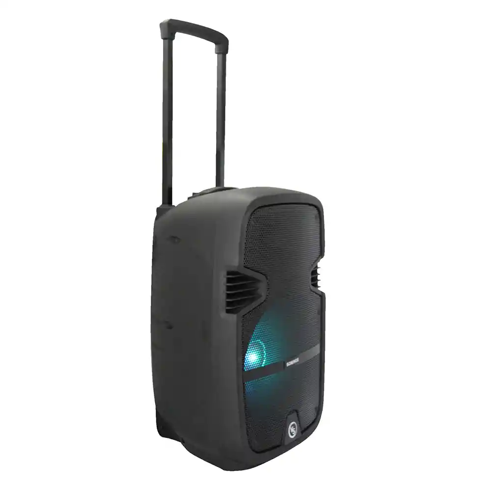 Cabina De Sonido Parlante Bluetooth 12 Pulgadas Portatil Recargable
