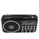 Radio Parlante Digital Portatil Recargable Con Am Y Fm