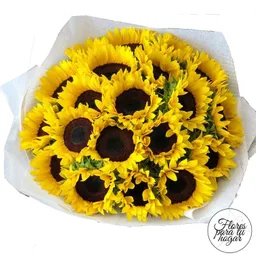 Girasoles En Bouquet X20