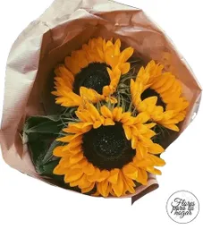 Girasoles En Bouquet S