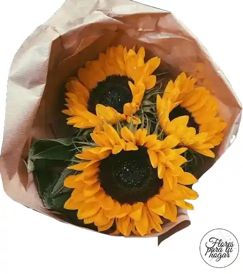 Girasoles En Bouquet S