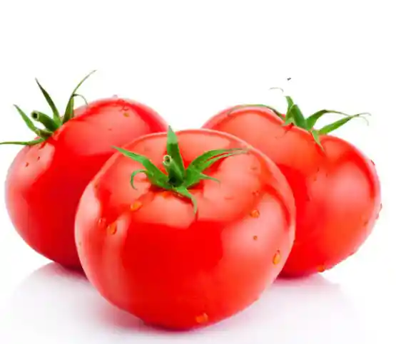 Tomate Chonto