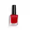 Shine Cosmetics - Kit